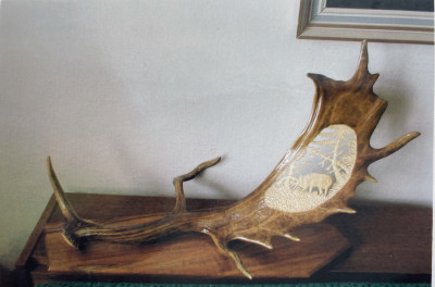 06.jpg